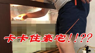 訂做一個超完美四尺澤龜缸【九桃分享養爬蟲-《Reptiles》】