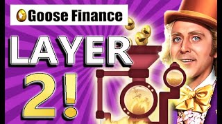 Goose Finance! | Layer 2! | BOT ISSUE! | Did You Get In? | EXTREME PASSIVE INCOME! $11,000 Per Month