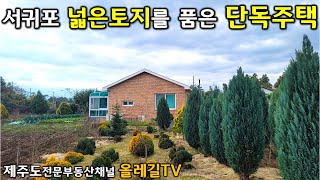 [매물번호No.636] 제주도에 여유로운 공간을 찾으셨다면 오늘 이집 꼭한번 살펴봐주세요 - 제주도부동산 올레길TV -