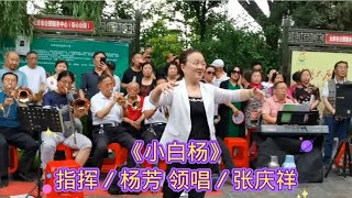 军旅歌曲《小白杨》千人合唱，杨芳指挥，管乐伴奏，唱响团合唱