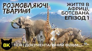 Тварини розповідають про життя в Африці - Дикі мешканці Ботсвани - Навчальний фільм 8K HDR - #1