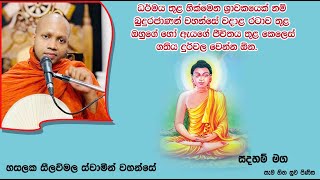 ධර්මය තුළ හික්මෙන ශ්‍රාවකයෙක් නම්..1745Ven Hasalaka Seelawimala Thero