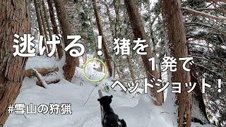 【忍び猟】#15 わずかな痕跡から猪を発見