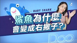 【五個你不知道的冷知識】鯊魚寶寶Baby Shark為什麼會變成右撇子?｜Greenvoice 綠之心EP23｜綠色和平台灣