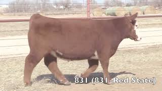 831 STEER