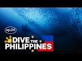 Dive the Philippines: Scuba Diving in the Sardine Run at Moalboal, Cebu