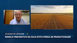 Excesso de umidade: manejo preventivo na soja evita perda de produtividade