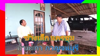 EP.2​ พูดคุย​เรื่อง​วัว​ลาน​กับ.. ช่างเล็ก​ นคร​ชุม​ ท่ามะกา​ กาญจนบุรี​#​วัว​ลาน​#​กาญจนบุรี​