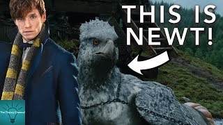 Harry Potter Theory: Newt Scamander Is In Harry Potter! (Fantastic Beasts)