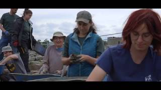 Discover our Land | Vindolanda