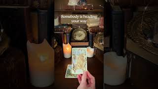 You Need to Hear This Message #tarot #tarotreading