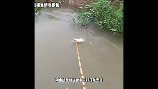 越南小夥在河海交界處用新能源路亞竿捕魚#戶外捕魚 #抓魚