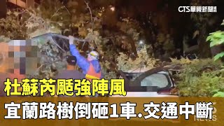 杜蘇芮颳強陣風　宜蘭路樹倒砸1車.交通中斷｜華視新聞 20230727