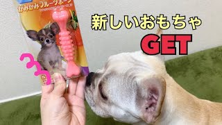 【おもちゃ】子犬の噛み癖やストレス発散に女子力高め？な新しいおもちゃを購入！【フレンチブルドッグ】