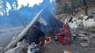 Himalayan Sheep Shepherd Life in Winter | Shepherd Food Cooking | Real Nepali Life |