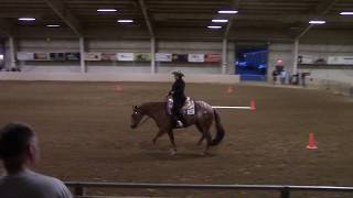 2019 Keystone Classic Green Western Riding - Amy Wunderlich