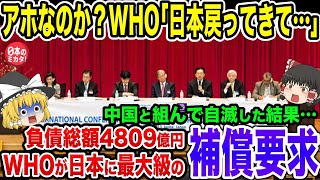 日本を潰そうとしたWHOが沈没寸前…日本が支援ストップし、ワクチン製造不可能でWHO大騒ぎ！【ゆっくり解説】