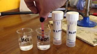 Effect of bases on litmus paper 2-2