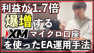 【FX自動売買】XMのマイクロ口座の使うことで利益が爆伸びする方法