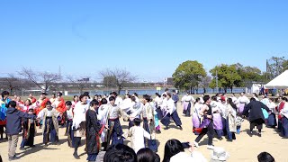 【総踊り うらじゃ音頭】水賀池公園会場 堺よさこいかえる祭り 2024