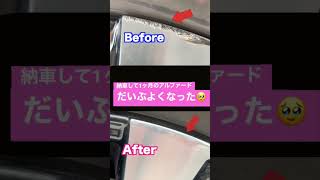 【悲報】納車されて1ヶ月、、アルファードやらかした