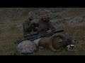 european mouflon hunting in france chasse au mouflon en france 2023