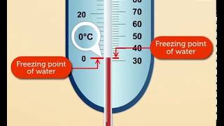 Celsius and Fahrenheit Scales | Mathematics Grade 5 | Periwinkle