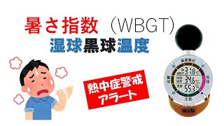 暑さ指数（WBGT)　熱中症警戒アラームのもとになる数値は、どのように求めているか？黒球温度計とは何か？