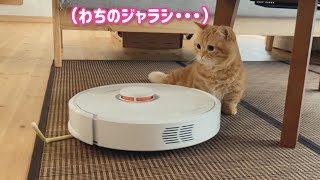 お掃除ロボットから必死にジャラシを守るぷてぃこ