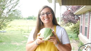 How To GROW, Harvest, And Prepare CABBAGE