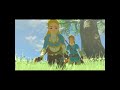 Cute Botw/Aoc Link & Zelda edit #thelegendofzelda #botw #ageofcalamity #zelink #zelda #shorts