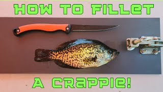 How To Fillet A Crappie For Beginners - QUICK & EASY