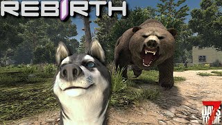 7 Days To Die - Rebirth - Autumn vs Bear! Who Wins!? (Ep2)