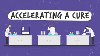 Accelerating a Cure - Our Research Strategy