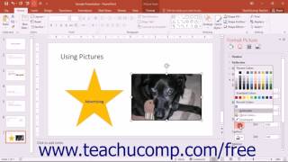 PowerPoint 2016 Tutorial Effects Settings Microsoft Training