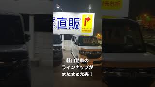 大分市 軽自動車 新古車 保証付 #shorts