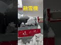 雪捨てる所無かったら自分で溶かしてます　 ラブラドールのいる暮らし ラブラドールレトリバー shorts