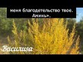 16 октября День Дионисия. Что нельзя делать 16 октября. Народные Приметы и Традиции Дня.