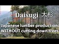 Ancient Japanese lumber production method without cutting down trees called 