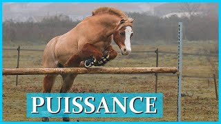 QUELLE HAUTEUR SAUTERA ACE ? - Puissance à l'obstacle !