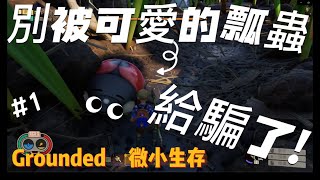 Grounded 微小世界生存戰 多人遊玩 | 縮小後的我們~可愛的蟲蟲都不可愛了~老空遊戲中文劇情第1集!!