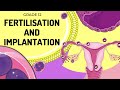 EASY TO UNDERSTAND | Fertilisation and implantation