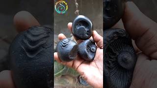 Shaligram, different types of shaligram shila 💐💐 #shorts #short #shortsfeed