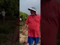 Uncle cashew farm in Cambodia