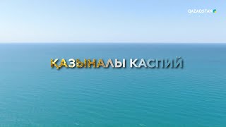 «Қазыналы Каспий» | деректі фильм