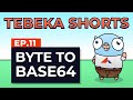Tebeka Shorts: Byte to Base64