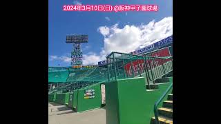 20240309　いよいよ入場　広がる球場風景　スタンドの様子　#shorts@阪神甲子園球場･ﾚﾌﾄ外野 ｵｰﾌﾟﾝ戦