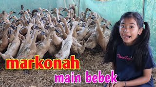 Markonah Di Kandang Bebek || film pendek lucu dan menginspirasi ||