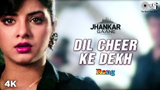 Dil Cheer Ke Dekh ((Jhankar)) Kumar Sanu | Kamal Sadanah | Divya Bharti | Rang | 90's Iconic Song