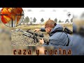 caza y cocina  estofado de codorniz ,chile 2022|hunting and cooking quail stew, chile 2022